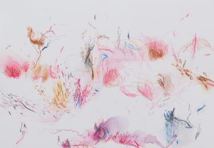Flashes of Colour